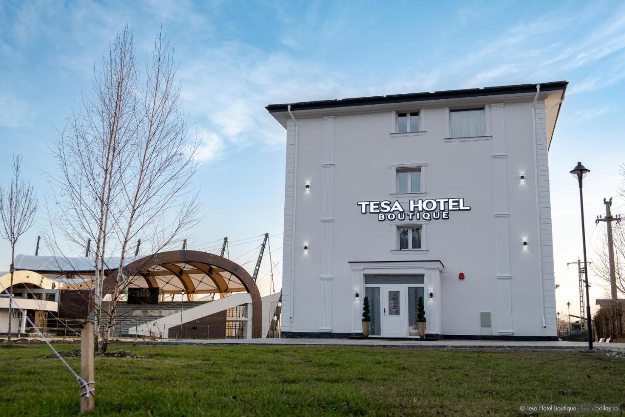 Tesa Boutique Hotel Târgu Neamţ Bagian luar foto