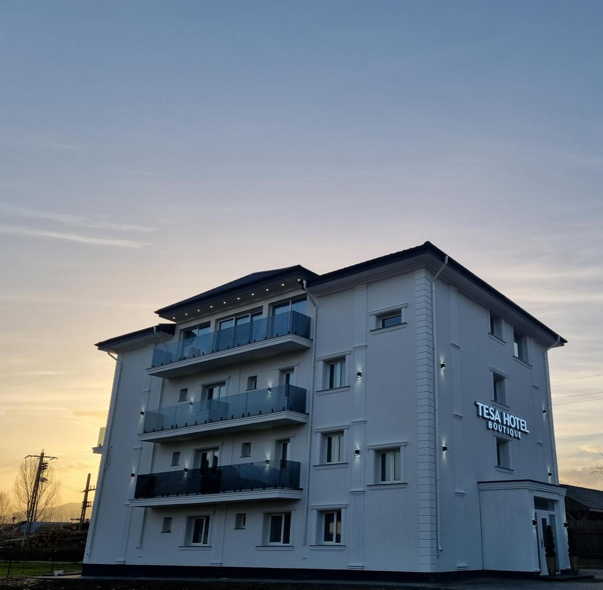 Tesa Boutique Hotel Târgu Neamţ Bagian luar foto